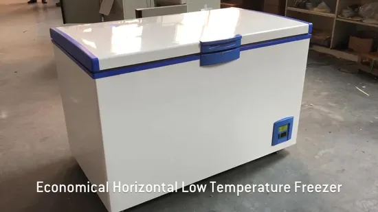 Congélateur coffre commercial basse température 468 L avec régulateur de température électronique Dw