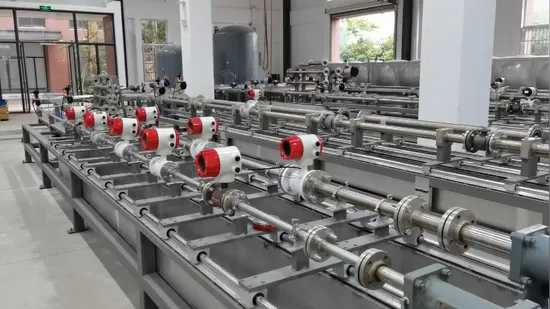Débitmètre d'eau alimentaire Débitmètre électromagnétique sanitaire